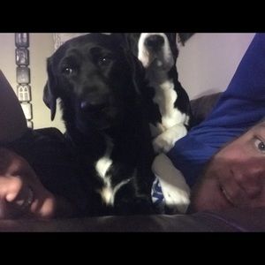 Meet your Posher, Tabitha